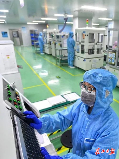 大城奮進 武漢民營經(jīng)濟高質(zhì)量發(fā)展觀察④ 技術(shù)服務(wù)驅(qū)動民營企業(yè)轉(zhuǎn)型與城市共生