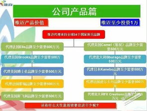 深耕日用品貿(mào)易 零售與批發(fā)進口的戰(zhàn)略布局與市場機遇
